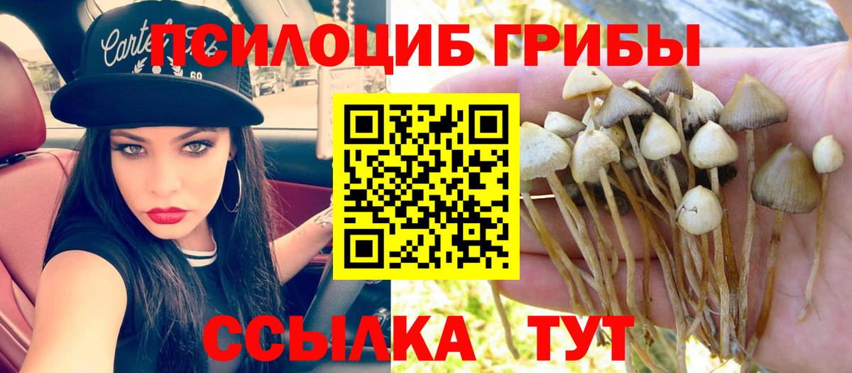 Соль-Илецк  Галлюциногенные грибы Magic Shrooms  Вход с VPN  Галлюциногенные грибы Psilocybine cubensis 