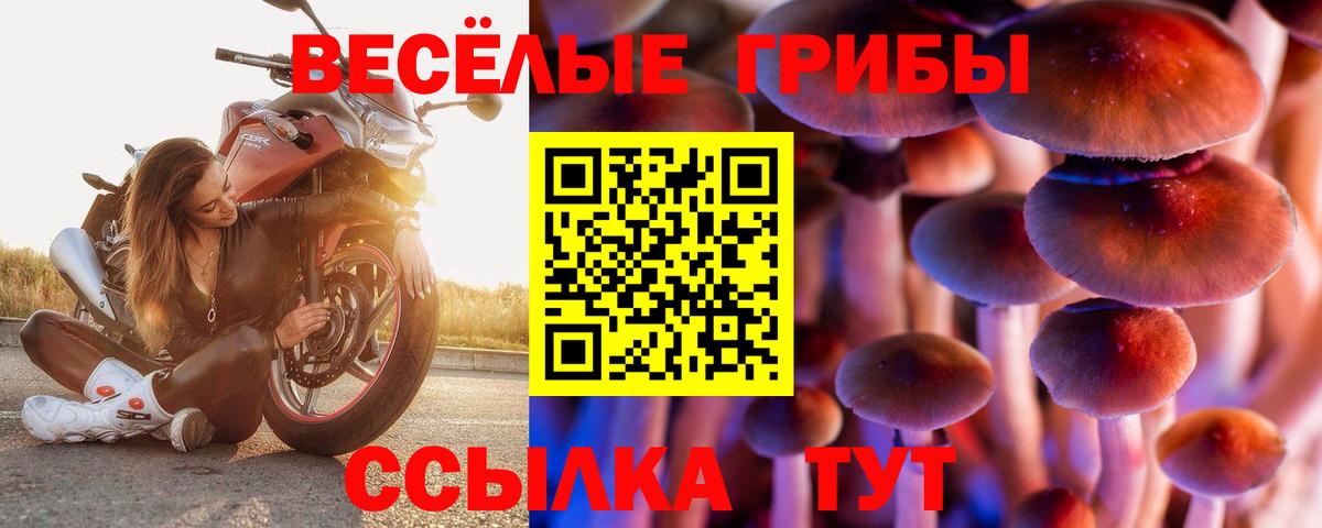Галлюциногенные грибы прущие грибы Соль-Илецк